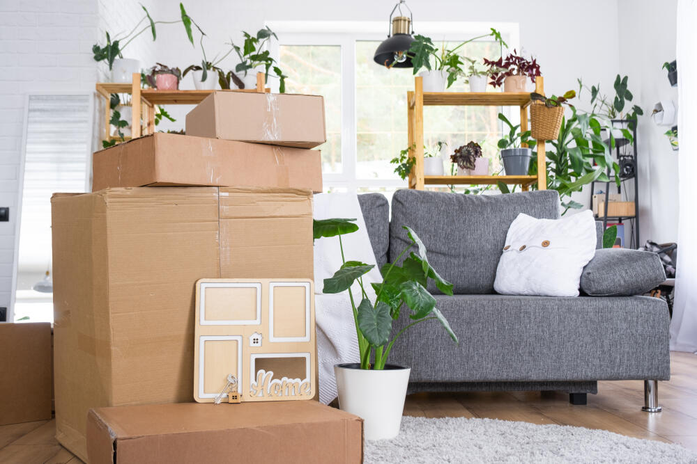 Mudança na Vila da Penha RJ // Mudança na Zona Norte RJ